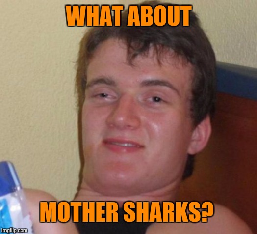10 Guy Meme | WHAT ABOUT MOTHER SHARKS? | image tagged in memes,10 guy | made w/ Imgflip meme maker