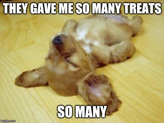 Passed out Puppy | THEY GAVE ME SO MANY TREATS; SO MANY | image tagged in passed out puppy | made w/ Imgflip meme maker
