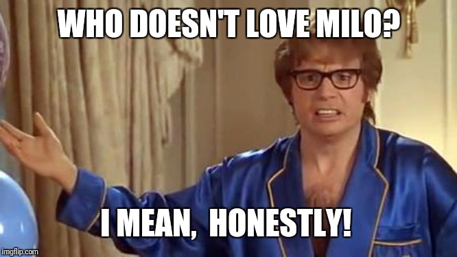 Austin Powers Honestly Meme | WHO DOESN'T LOVE MILO? I MEAN,  HONESTLY! | image tagged in memes,austin powers honestly | made w/ Imgflip meme maker