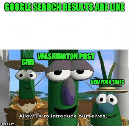 Allow us to introduce ourselves | GOOGLE SEARCH RESULTS ARE LIKE; WASHINGTON POST; CNN; NEW YORK TIMES | image tagged in allow us to introduce ourselves | made w/ Imgflip meme maker