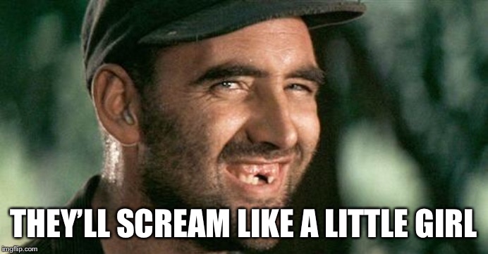 Deliverance HIllbilly | THEY’LL SCREAM LIKE A LITTLE GIRL | image tagged in deliverance hillbilly | made w/ Imgflip meme maker