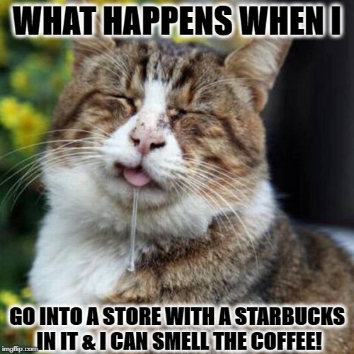 WHAT HAPPENS WHEN I | WHAT HAPPENS WHEN I; GO INTO A STORE WITH A STARBUCKS IN IT & I CAN SMELL THE COFFEE! | image tagged in what happens when i | made w/ Imgflip meme maker