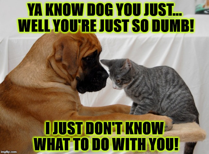 YA KNOW DOG | YA KNOW DOG YOU JUST... WELL YOU'RE JUST SO DUMB! I JUST DON'T KNOW WHAT TO DO WITH YOU! | image tagged in ya know dog | made w/ Imgflip meme maker
