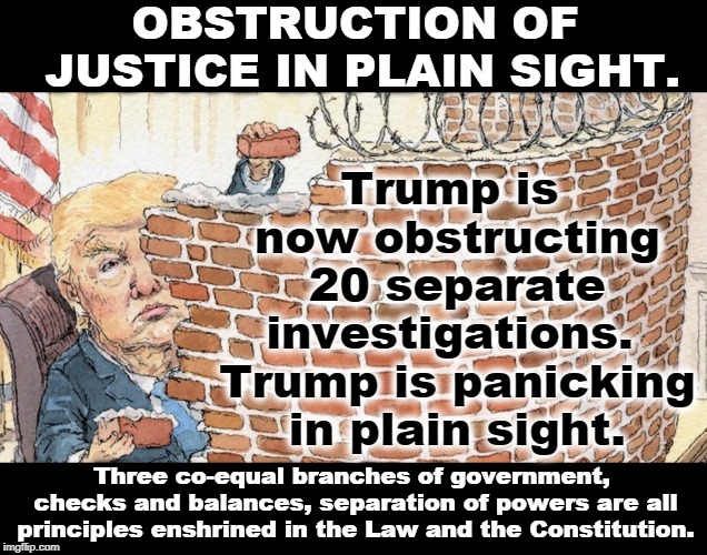 What does obstruction look like? You're watching it right now. Trump won't even let his staff testify that he's innocent. | OBSTRUCTION OF JUSTICE IN PLAIN SIGHT. Trump is now obstructing 20 separate investigations.  Trump is panicking in plain sight. Three co-equal branches of government, checks and balances, separation of powers are all principles enshrined in the Law and the Constitution. | image tagged in trump,obstruction of justice,guilty,constitution,law | made w/ Imgflip meme maker
