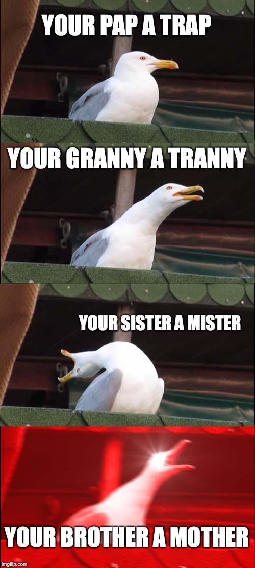 Inhaling Seagull Meme | YOUR PAP A TRAP YOUR GRANNY A TRANNY YOUR SISTER A MISTER YOUR BROTHER A MOTHER | image tagged in memes,inhaling seagull | made w/ Imgflip meme maker