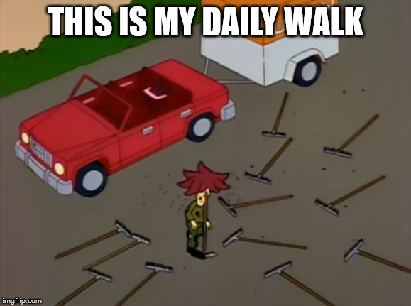 Sideshow bob rake | THIS IS MY DAILY WALK | image tagged in sideshow bob rake | made w/ Imgflip meme maker