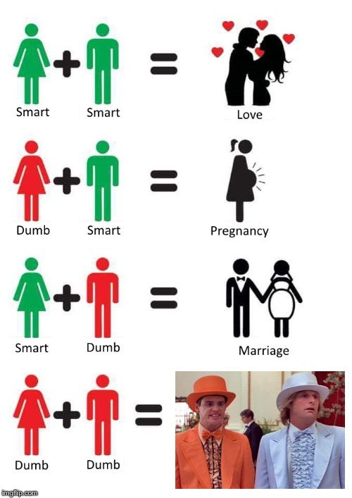 Dumb + Dumb = Twins | image tagged in dumb and smart,dumb and dumber | made w/ Imgflip meme maker