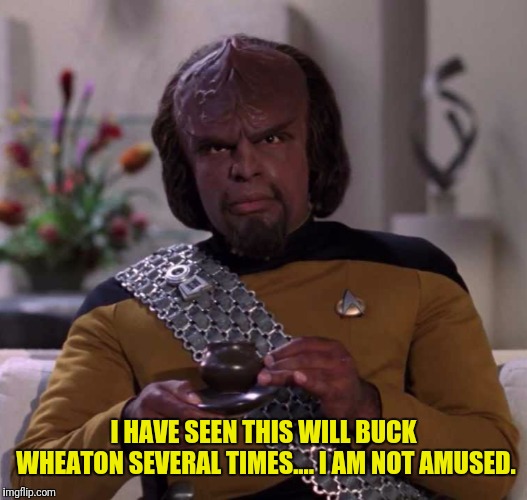 I HAVE SEEN THIS WILL BUCK WHEATON SEVERAL TIMES.... I AM NOT AMUSED. | made w/ Imgflip meme maker