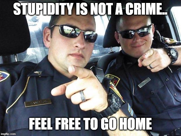 Cops | STUPIDITY IS NOT A CRIME.. FEEL FREE TO GO HOME | image tagged in cops | made w/ Imgflip meme maker