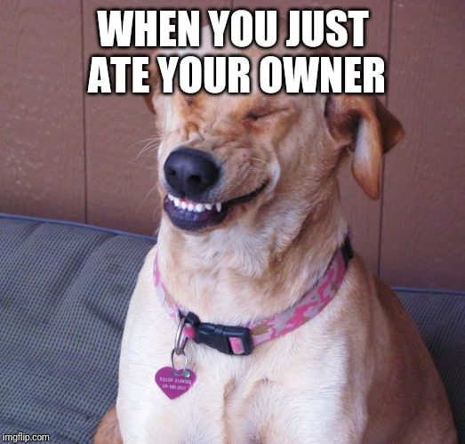 laughing dog | WHEN YOU JUST ATE YOUR OWNER | image tagged in laughing dog | made w/ Imgflip meme maker