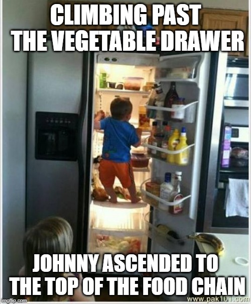 baby getting food from fridge | CLIMBING PAST THE VEGETABLE DRAWER; JOHNNY ASCENDED TO THE TOP OF THE FOOD CHAIN | image tagged in baby getting food from fridge | made w/ Imgflip meme maker