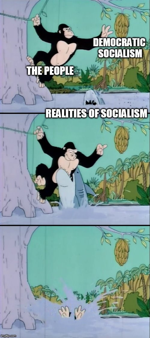 it's still socialism | DEMOCRATIC SOCIALISM REALITIES OF SOCIALISM THE PEOPLE | image tagged in shark eating a gorilla | made w/ Imgflip meme maker