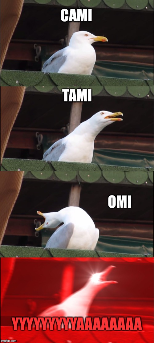 Inhaling Seagull Meme | CAMI; TAMI; OMI; YYYYYYYYYAAAAAAAA | image tagged in memes,inhaling seagull | made w/ Imgflip meme maker