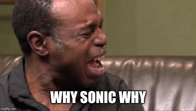 Best Cry Ever | WHY SONIC WHY | image tagged in best cry ever | made w/ Imgflip meme maker