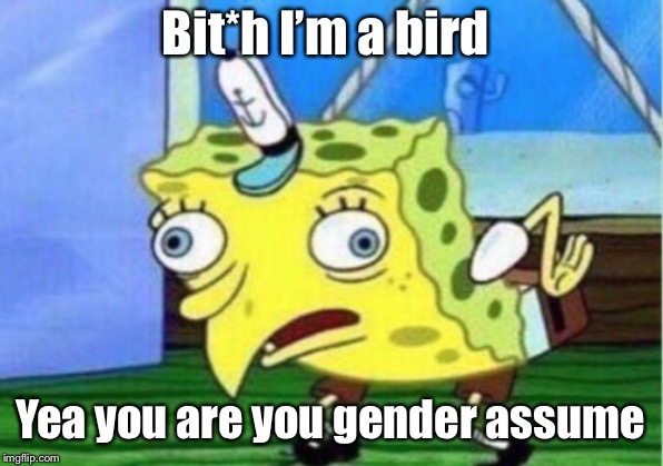 Mocking Spongebob Meme | Bit*h I’m a bird; Yea you are you gender assumer | image tagged in memes,mocking spongebob | made w/ Imgflip meme maker