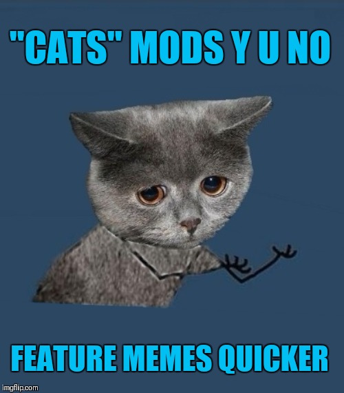 My memes always take hours to feature | "CATS" MODS Y U NO; FEATURE MEMES QUICKER | image tagged in y u no sad cat,imgflip mods,cats,y u no | made w/ Imgflip meme maker