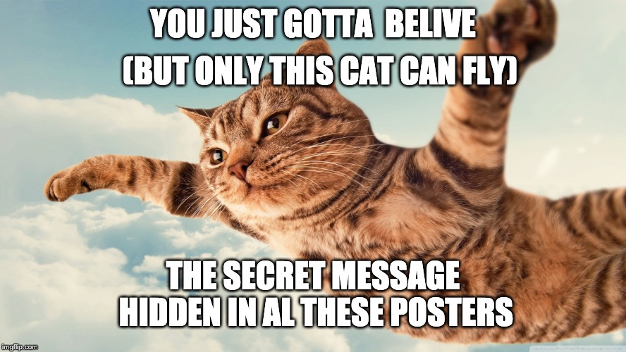 I believe | YOU JUST GOTTA 
BELIVE (BUT ONLY THIS CAT CAN FLY) THE SECRET MESSAGE HIDDEN IN AL THESE POSTERS | image tagged in i believe | made w/ Imgflip meme maker