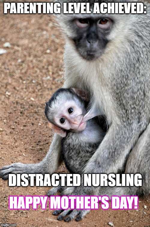Distracted Nursling | PARENTING LEVEL ACHIEVED:; DISTRACTED NURSLING; HAPPY MOTHER'S DAY! | image tagged in mothers day,nursing,mom,that awkward moment | made w/ Imgflip meme maker