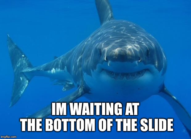 Straight White Shark | IM WAITING AT THE BOTTOM OF THE SLIDE | image tagged in straight white shark | made w/ Imgflip meme maker