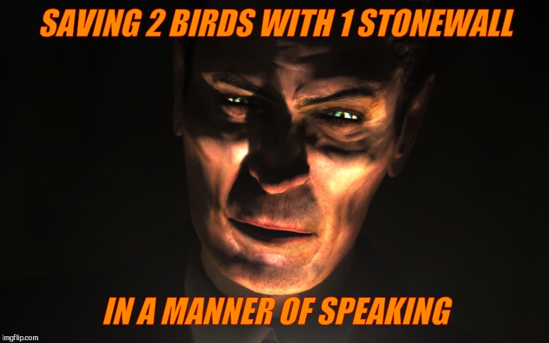 . | SAVING 2 BIRDS WITH 1 STONEWALL IN A MANNER OF SPEAKING | image tagged in g-man from half-life | made w/ Imgflip meme maker