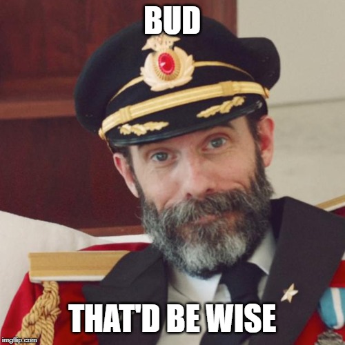 Captain Obvious | BUD THAT'D BE WISE | image tagged in captain obvious | made w/ Imgflip meme maker