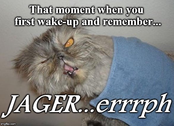 Never Again! | That moment when you first wake-up and remember... JAGER...errrph | image tagged in i want to die | made w/ Imgflip meme maker
