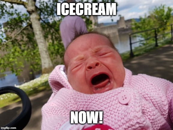 ICECREAM; NOW! | image tagged in crying,angry baby,wales,screaming | made w/ Imgflip meme maker