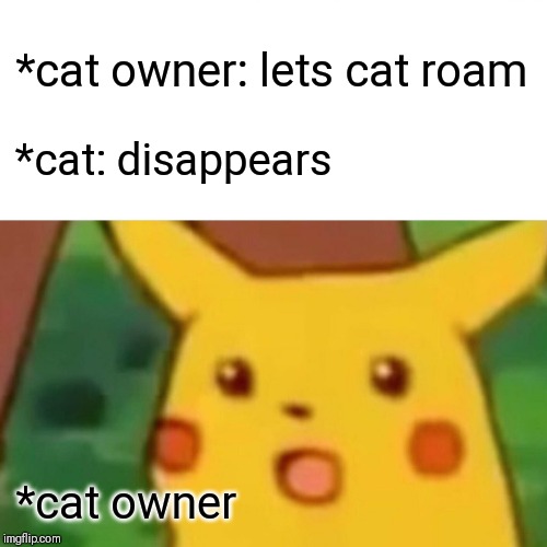 Surprised Pikachu Meme | *cat owner: lets cat roam; *cat: disappears; *cat owner | image tagged in memes,surprised pikachu,cats,cat | made w/ Imgflip meme maker