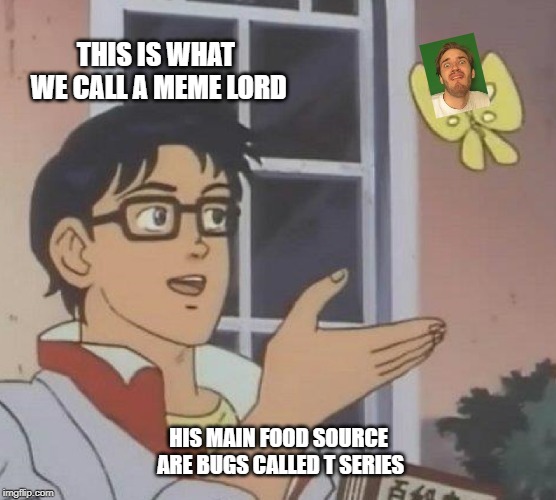 Is This A Pigeon Meme | THIS IS WHAT WE CALL A MEME LORD; HIS MAIN FOOD SOURCE ARE BUGS CALLED T SERIES | image tagged in memes,is this a pigeon | made w/ Imgflip meme maker