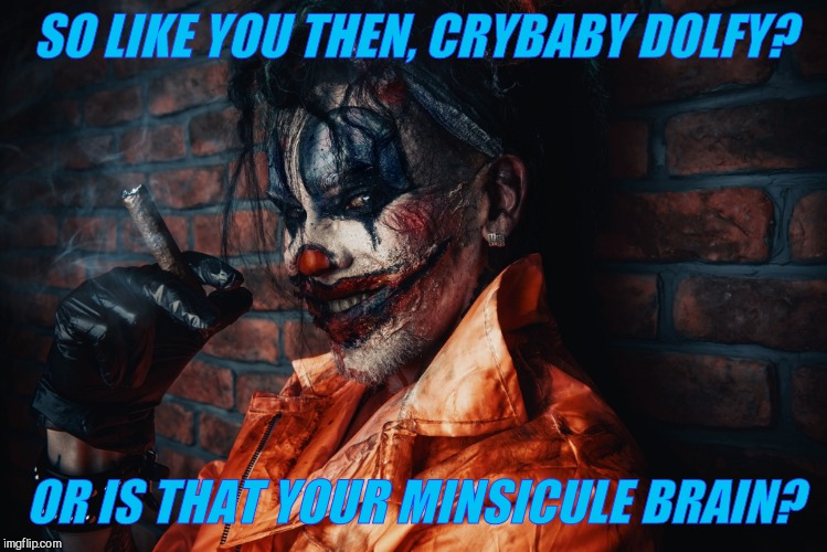 w | SO LIKE YOU THEN, CRYBABY DOLFY? OR IS THAT YOUR MINSICULE BRAIN? | image tagged in evil bloodstained clown | made w/ Imgflip meme maker