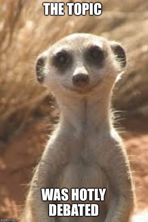 Meerkat | THE TOPIC WAS HOTLY DEBATED | image tagged in meerkat | made w/ Imgflip meme maker