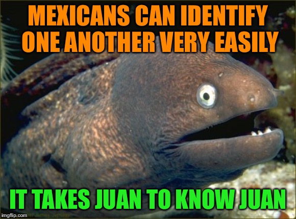 Bad Joke Eel Meme | MEXICANS CAN IDENTIFY ONE ANOTHER VERY EASILY; IT TAKES JUAN TO KNOW JUAN | image tagged in memes,bad joke eel | made w/ Imgflip meme maker