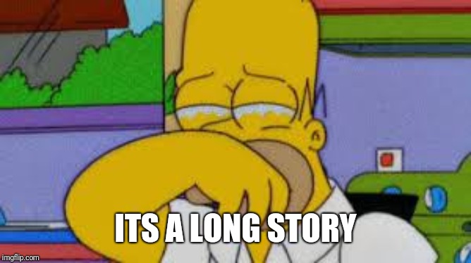 homer simpson crying | ITS A LONG STORY | image tagged in homer simpson crying | made w/ Imgflip meme maker