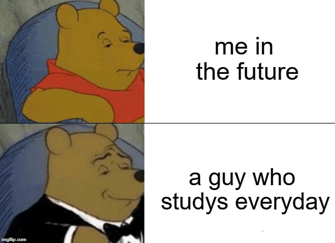 Tuxedo Winnie The Pooh Meme | me in the future; a guy who studys everyday | image tagged in memes,tuxedo winnie the pooh | made w/ Imgflip meme maker