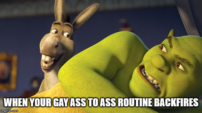 Shrek | WHEN YOUR GAY ASS TO ASS ROUTINE BACKFIRES | image tagged in shrek | made w/ Imgflip meme maker