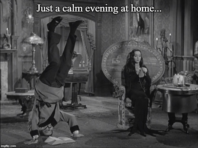 Just a calm evening at home... | image tagged in adam's family | made w/ Imgflip meme maker