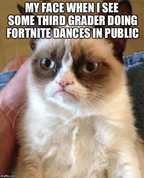 Grumpy Cat | MY FACE WHEN I SEE SOME THIRD GRADER DOING FORTNITE DANCES IN PUBLIC | image tagged in memes,grumpy cat | made w/ Imgflip meme maker