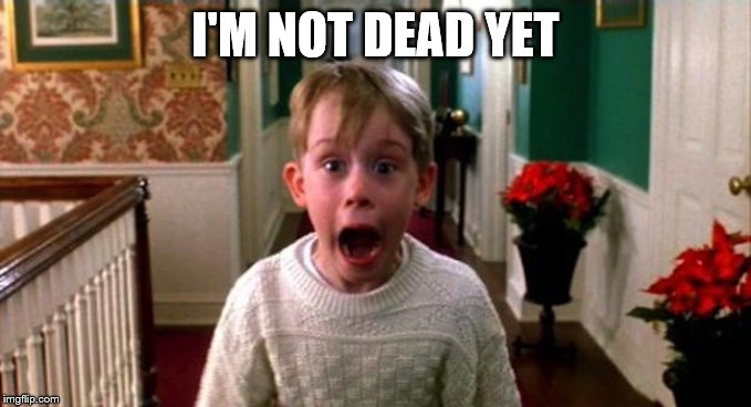 Kevin Home Alone | I'M NOT DEAD YET | image tagged in kevin home alone | made w/ Imgflip meme maker