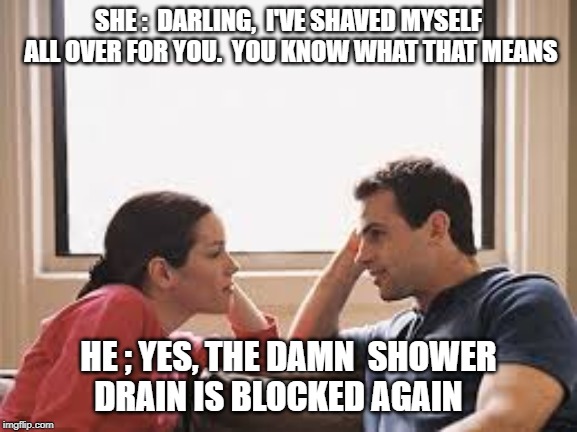 husband wife | SHE :  DARLING,  I'VE SHAVED MYSELF ALL OVER FOR YOU.  YOU KNOW WHAT THAT MEANS; HE ; YES, THE DAMN  SHOWER DRAIN IS BLOCKED AGAIN | image tagged in husband wife | made w/ Imgflip meme maker
