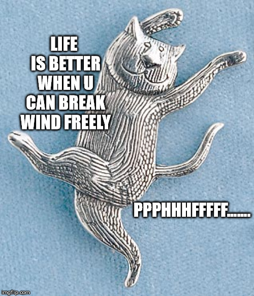 fart cat | LIFE IS BETTER WHEN U CAN BREAK WIND FREELY; PPPHHHFFFFF....... | image tagged in fart,cat,funny cat memes,cat memes,cat meme | made w/ Imgflip meme maker