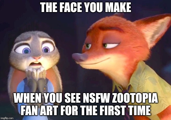 The Dark Side of the Zootopia Fandom | THE FACE YOU MAKE; WHEN YOU SEE NSFW ZOOTOPIA FAN ART FOR THE FIRST TIME | image tagged in judy hopps shocked nick wilde happy,zootopia,judy hopps,nick wilde,funny,memes | made w/ Imgflip meme maker
