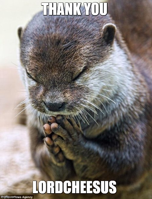 Thank you Lord Otter | THANK YOU LORDCHEESUS | image tagged in thank you lord otter | made w/ Imgflip meme maker