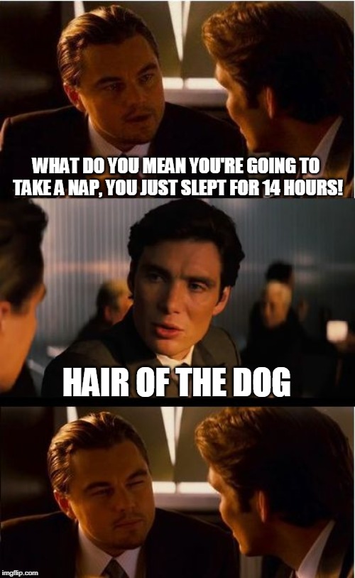 Inception Meme | WHAT DO YOU MEAN YOU'RE GOING TO TAKE A NAP, YOU JUST SLEPT FOR 14 HOURS! HAIR OF THE DOG | image tagged in memes,inception,hair,sleep,sleeping,sleepy | made w/ Imgflip meme maker