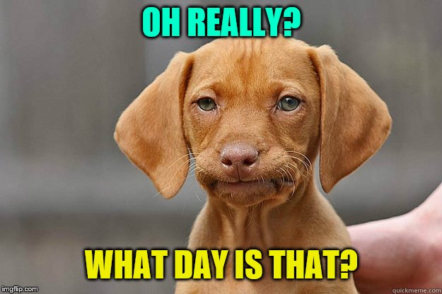 Bored Dog | OH REALLY? WHAT DAY IS THAT? | image tagged in bored dog | made w/ Imgflip meme maker