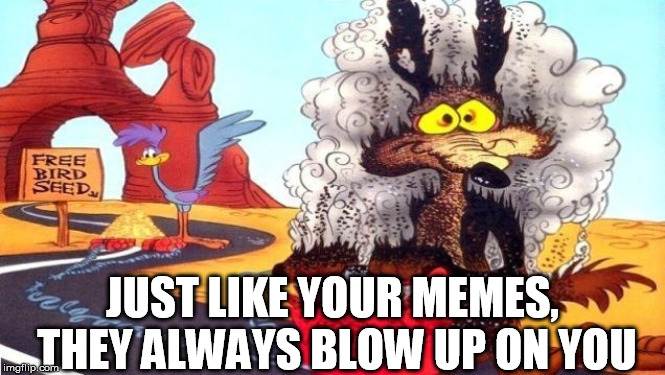 When you get trolled | JUST LIKE YOUR MEMES, THEY ALWAYS BLOW UP ON YOU | image tagged in wile e coyote,blow up | made w/ Imgflip meme maker