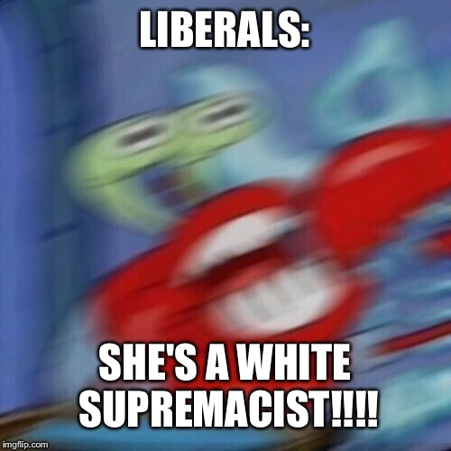 Mr krabs blur | LIBERALS: SHE'S A WHITE SUPREMACIST!!!! | image tagged in mr krabs blur | made w/ Imgflip meme maker