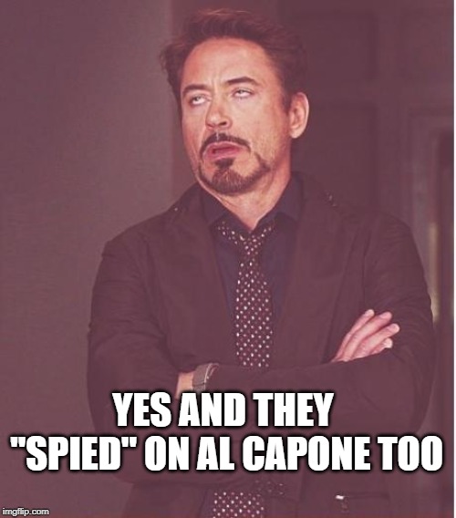 Face You Make Robert Downey Jr Meme | YES AND THEY "SPIED" ON AL CAPONE TOO | image tagged in memes,face you make robert downey jr | made w/ Imgflip meme maker