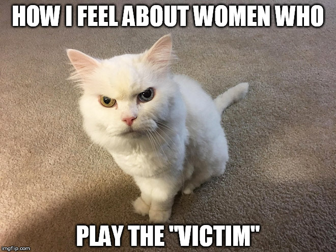 hate cat | HOW I FEEL ABOUT WOMEN WHO; PLAY THE "VICTIM" | image tagged in hate cat | made w/ Imgflip meme maker