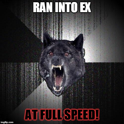 Insanity Wolf Meme | RAN INTO EX; AT FULL SPEED! | image tagged in memes,insanity wolf | made w/ Imgflip meme maker
