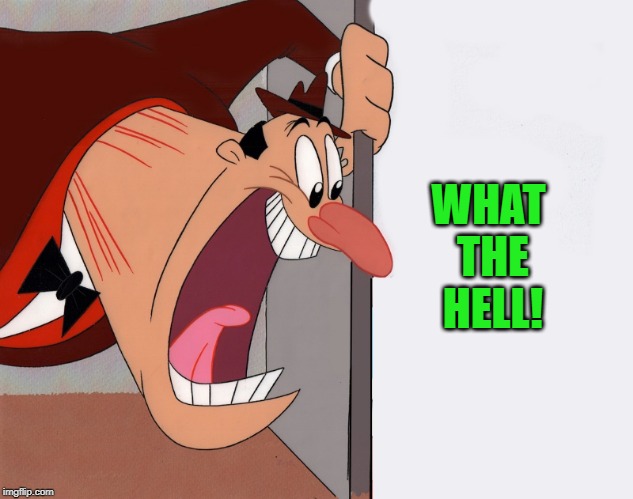 yelling guy | WHAT THE HELL! | image tagged in yelling guy | made w/ Imgflip meme maker